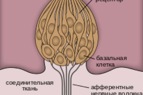 Маркетплейс кракен купить